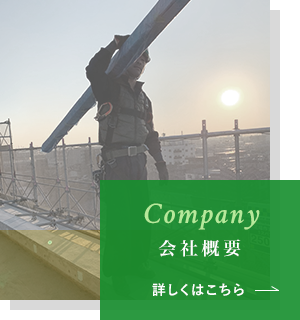 btn_company